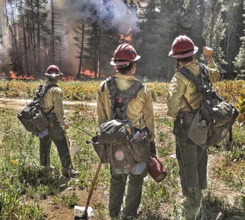 What I Got Right, and What I Got Wrong My First Year on a Federal Interagency Wildland Hotshot crew in California